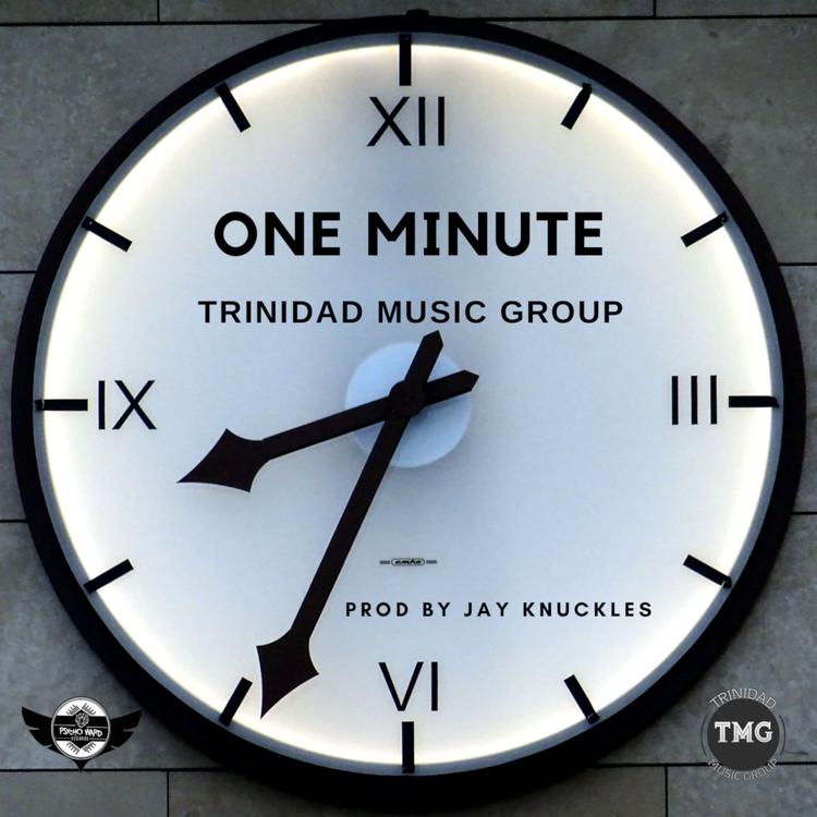 Trinidad Music Group's avatar image