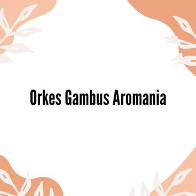 Orkes Gambus Aromania's cover