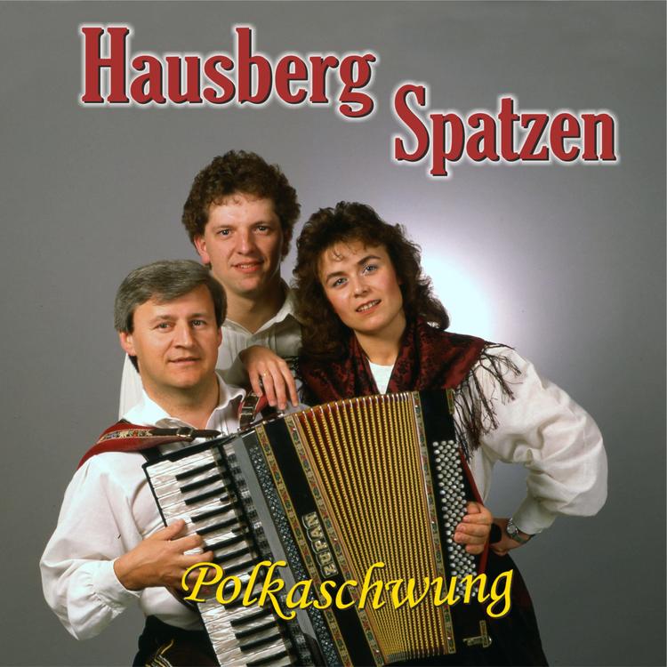 Hausberg Spatzen's avatar image