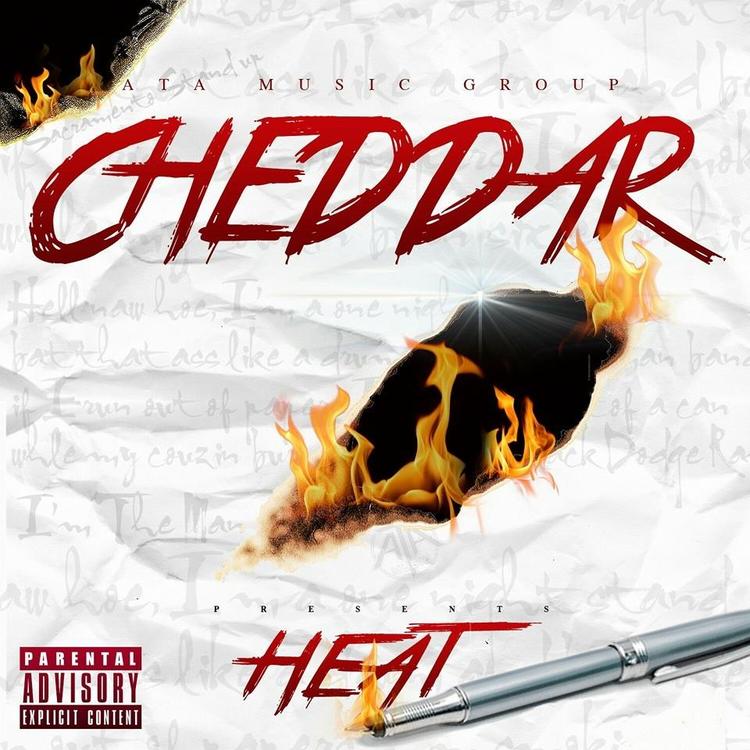 Young Cheddar's avatar image