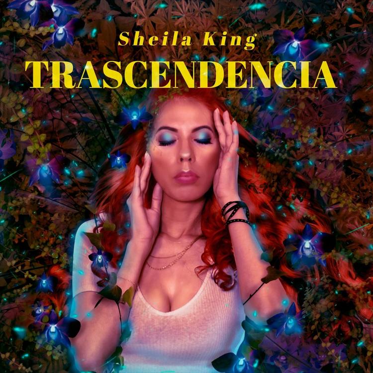Sheila King's avatar image