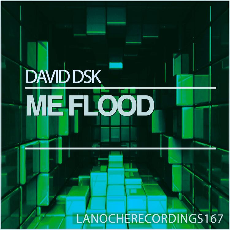 David DSK's avatar image