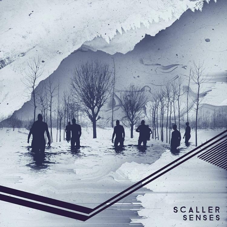 Scaller's avatar image