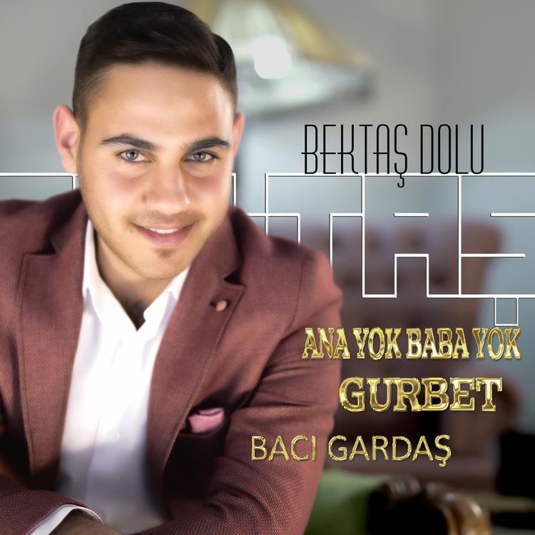 Bektaş Dolu's avatar image