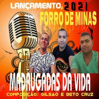 Forro de Minas's avatar cover