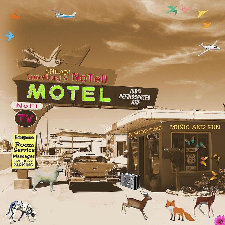Junebug's Notell Motel's avatar image