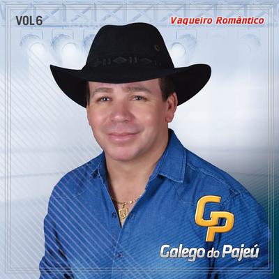 Galego do Pajeú, Vol. 6's cover