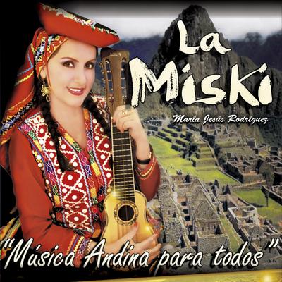 Musica Andina para Todos's cover