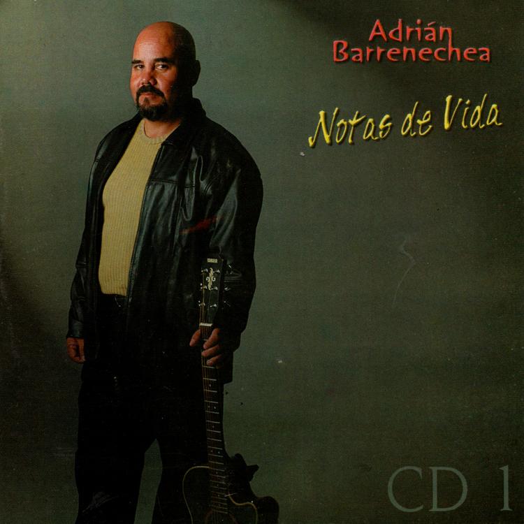 Adrian Barrenechea's avatar image