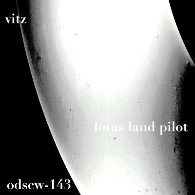 Vitz (Original Mix)'s cover