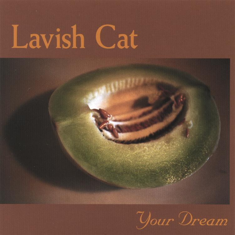 Lavish Cat's avatar image