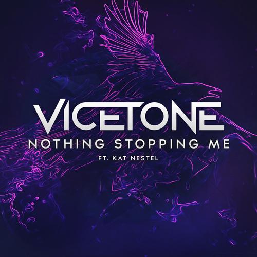 Vicetone's cover