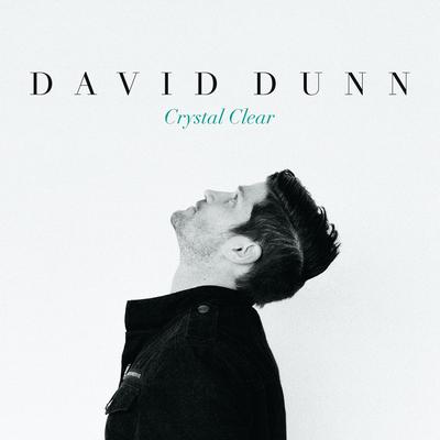 Have Everything By David Dunn's cover
