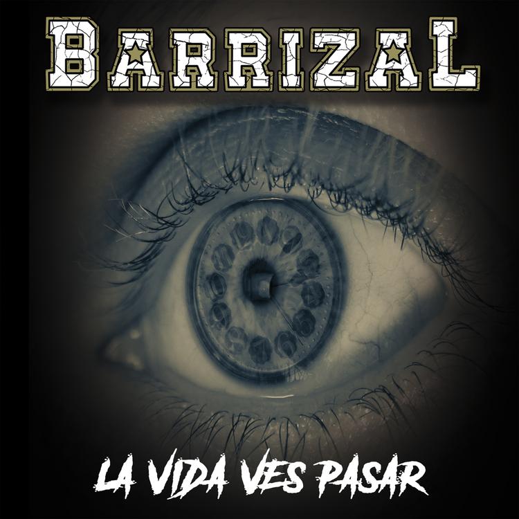 Barrizal's avatar image