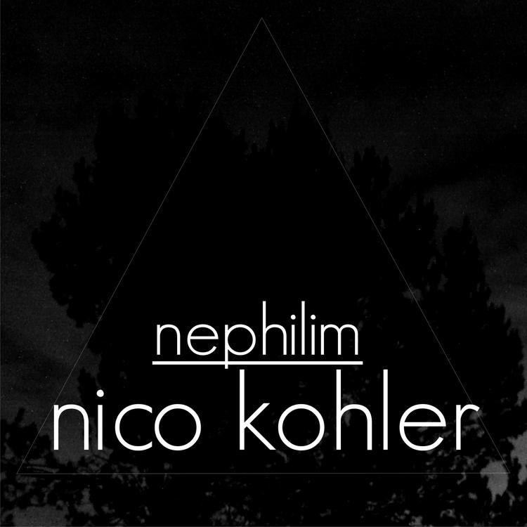 Nico Kohler's avatar image