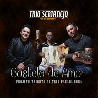 Trio Sertanejo - Os reis do modão's avatar cover