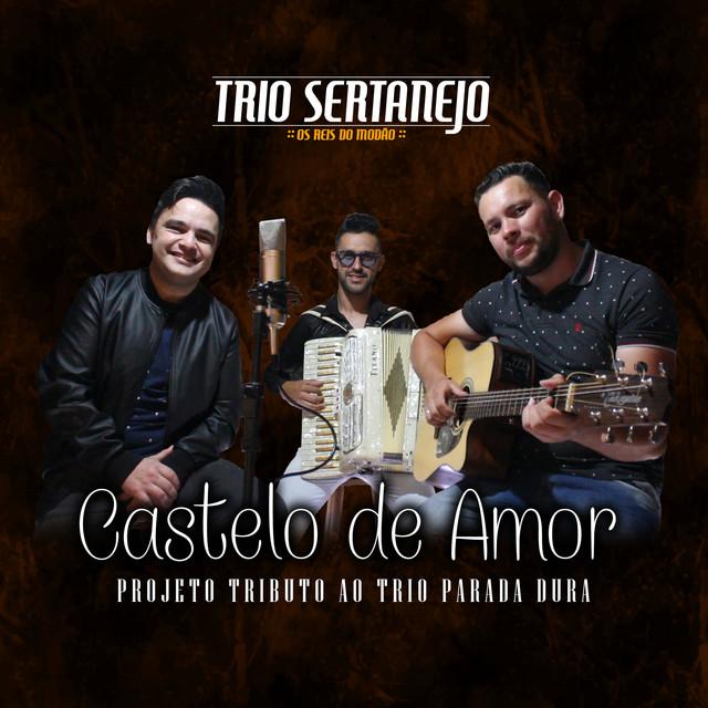 Trio Sertanejo - Os reis do modão's avatar image