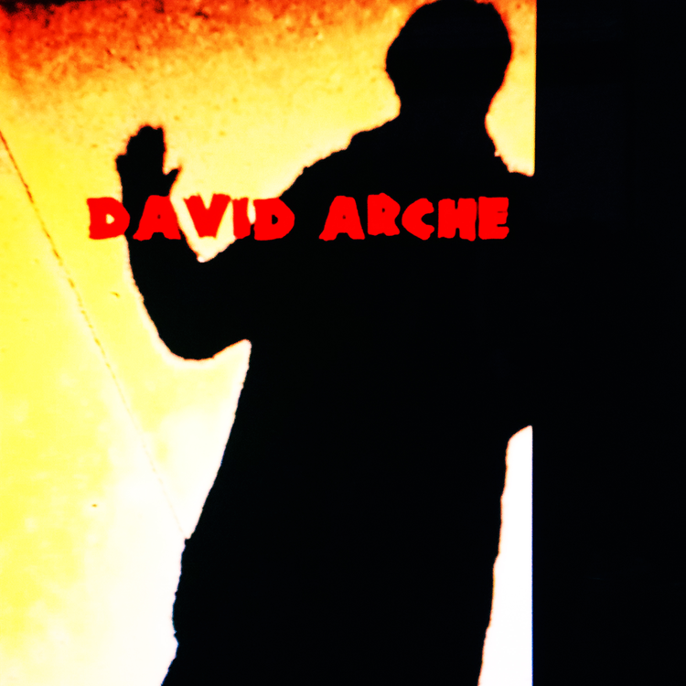 DAVID ARCHE's avatar image