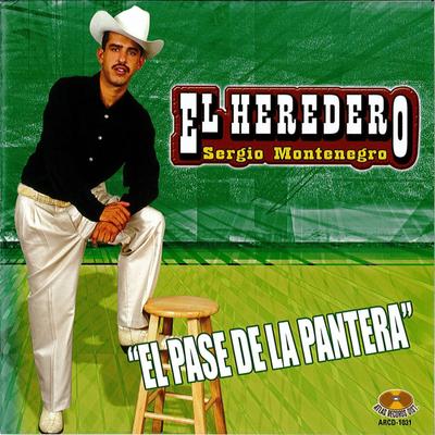 El Pase De La Pantera's cover