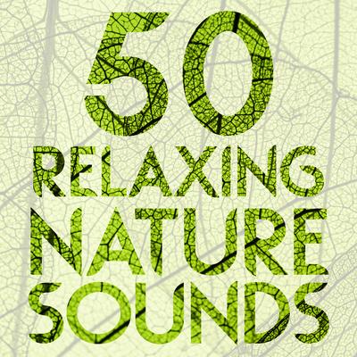 Rest & Relax Nature Sounds Artists's cover