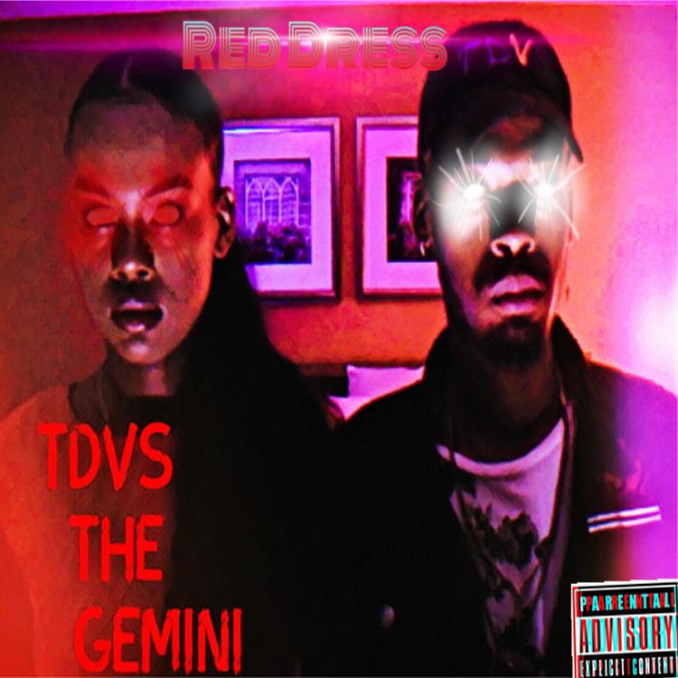 Tdvs the Gemini's avatar image