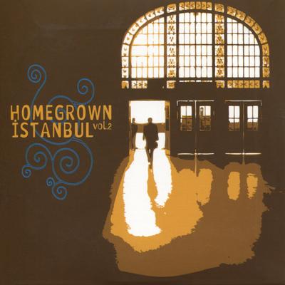 Homegrown Istanbul, Vol. 2's cover