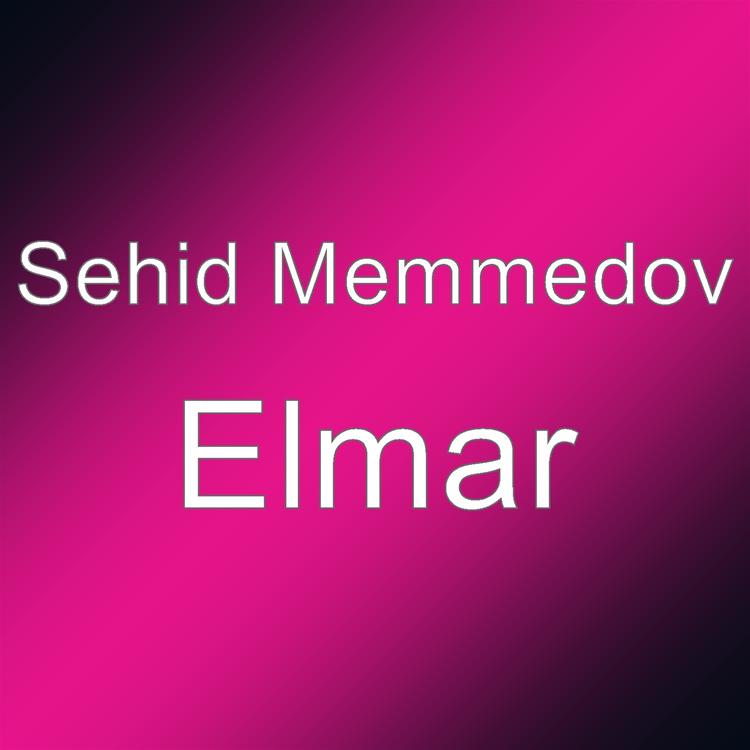 Sehid Memmedov's avatar image