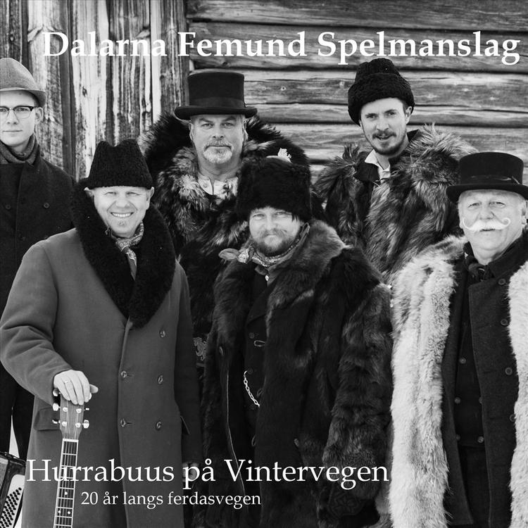 Dalarna Femund Spelmanslag's avatar image