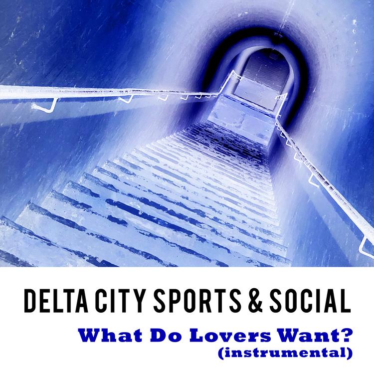 Delta City Sports and Social's avatar image