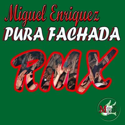 Pura Fachada (Remix)'s cover