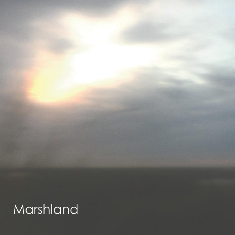 Marshland's avatar image