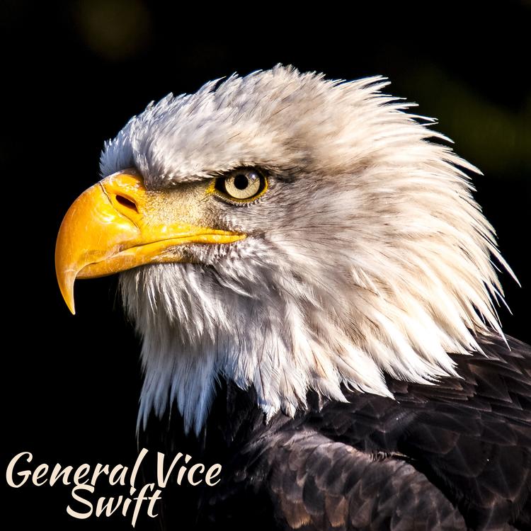 General Vice's avatar image