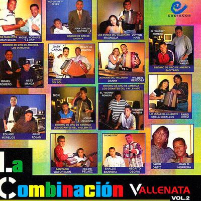 La Combinacion Vallenata Vol. 2's cover