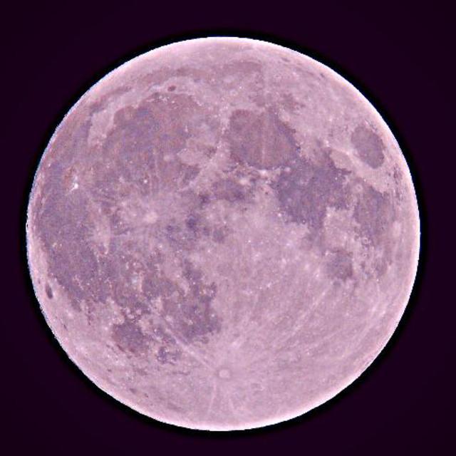 Pink Supermoon's avatar image