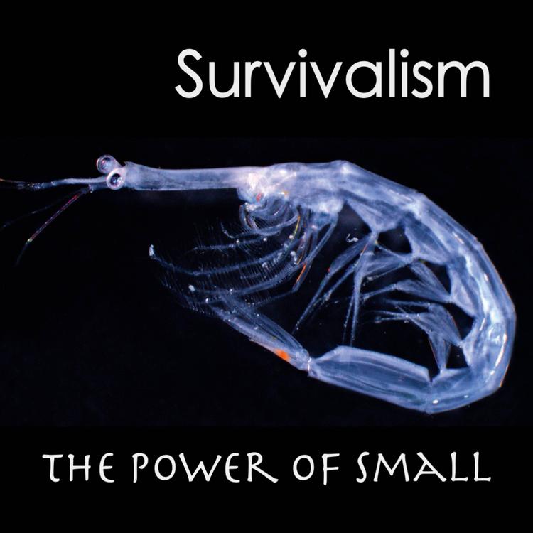 Survivalism's avatar image