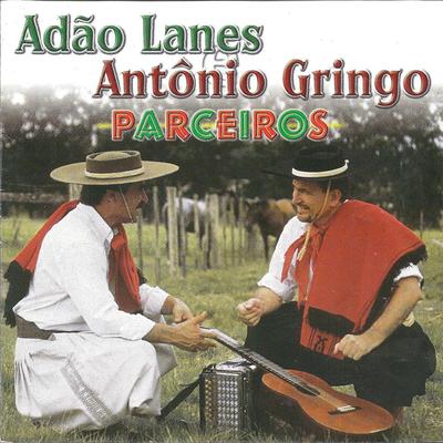Louco por Carne de Oveia By Adão Lanes & Antônio Gringo's cover