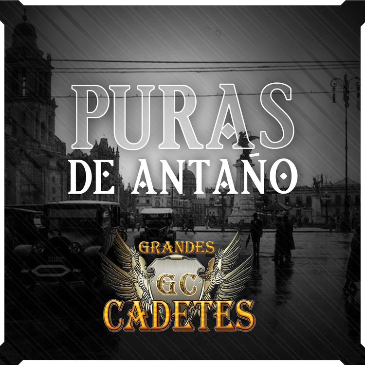 GRANDES CADETES's avatar image