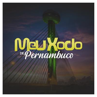Solidão Demais By Banda Meu Xodó De Pernambuco's cover