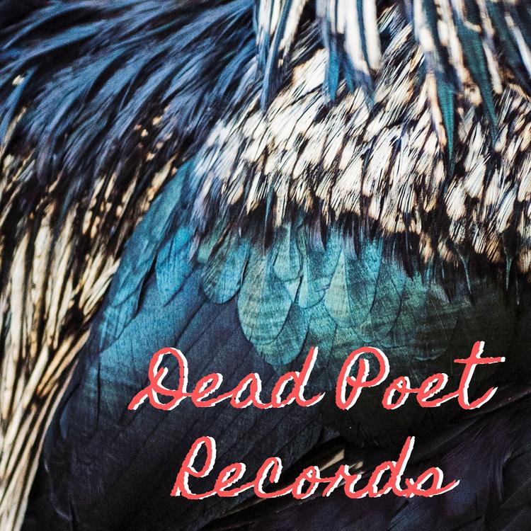 Dead Poet Records's avatar image