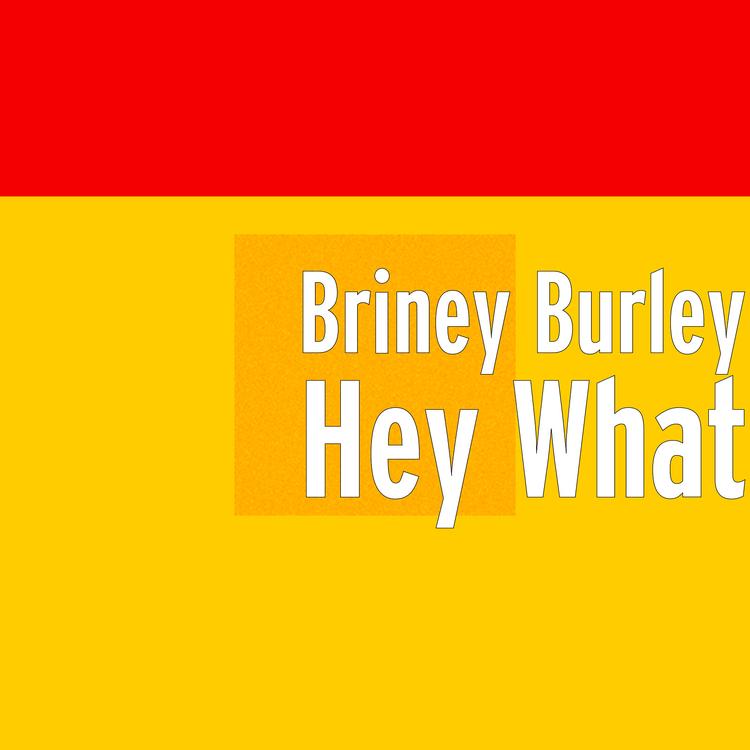 Briney Burley's avatar image