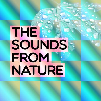 The Sounds from Nature's cover