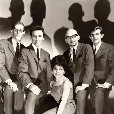 The Skyliners's cover