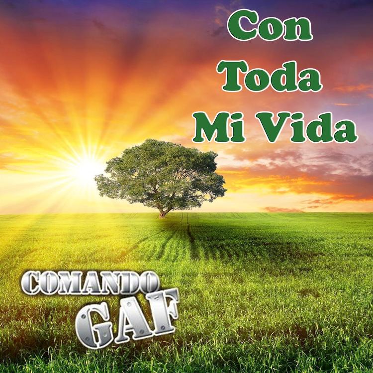 Comando Gaf's avatar image