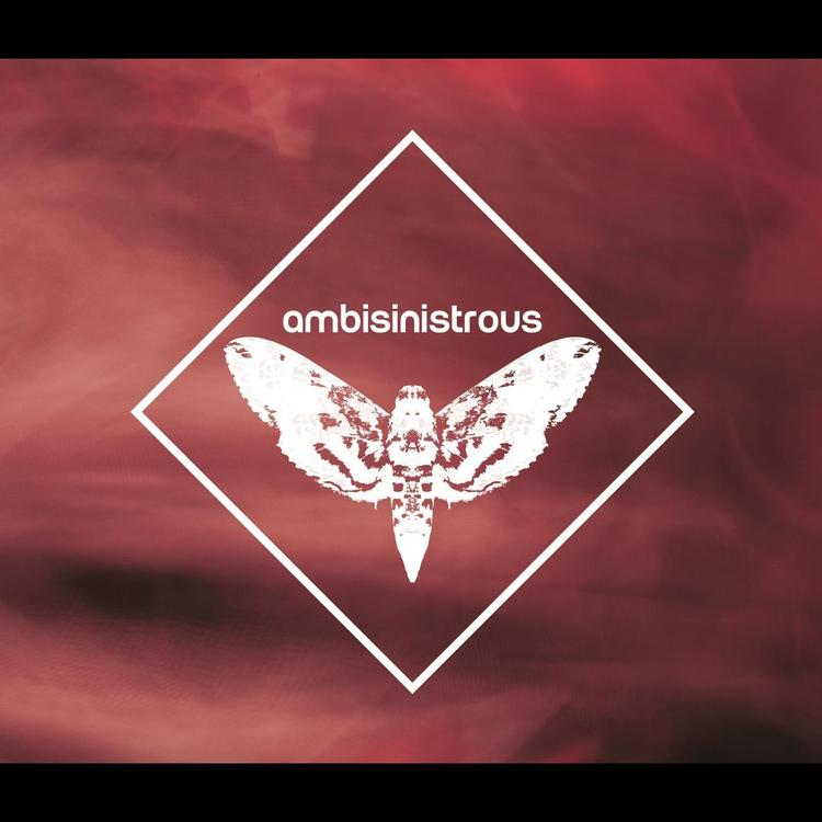Ambisinistrous's avatar image