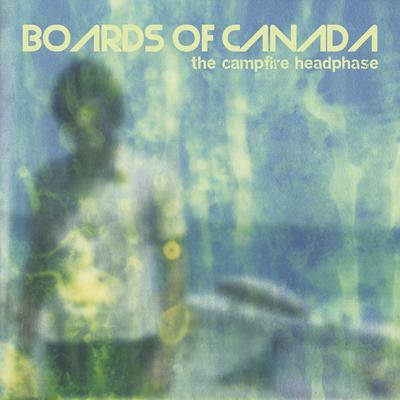 Slow This Bird Down By Boards Of Canada's cover