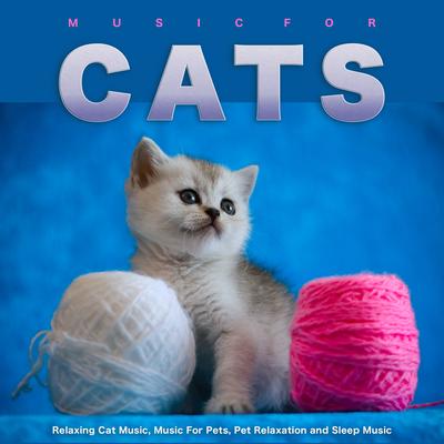 Music For Pet Relaxation By Music For Pets, Cat Music, Music For Cats's cover