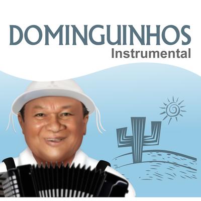 Dominguinhos Instrumental's cover