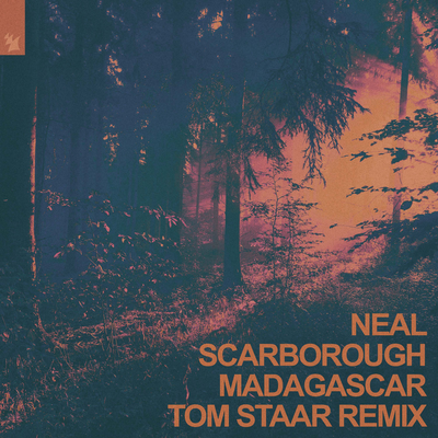 Madagascar (Tom Staar Remix) By Neal Scarborough's cover
