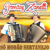 Irmão Zanetti's avatar cover