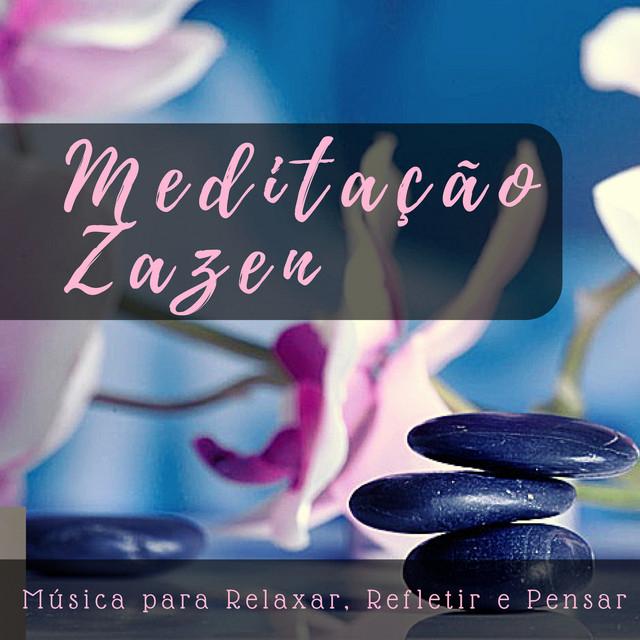 Meditação Maestro's avatar image